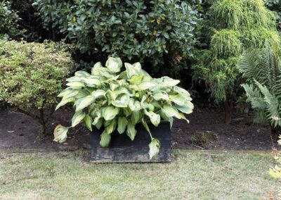 first choice home service facebook gallery 10