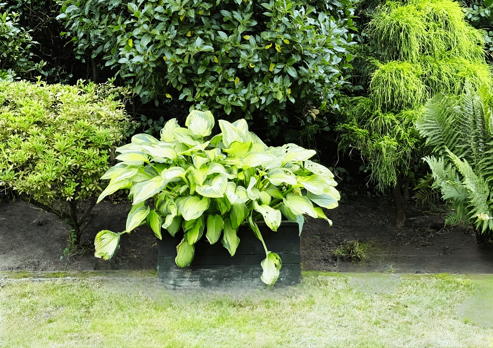 first choice home service facebook gallery 10 improve