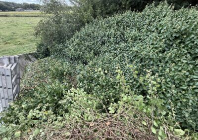 first choice home service facebook gallery 18