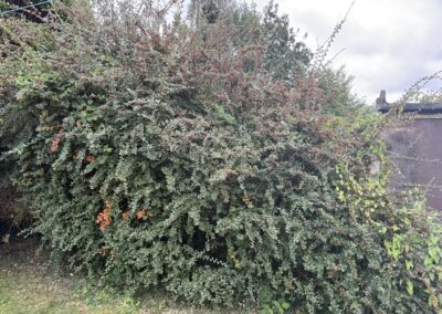 first choice home service facebook gallery 7